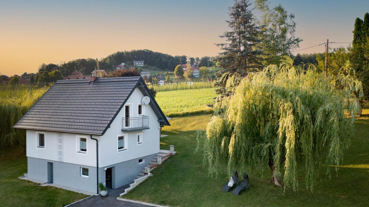 Ferienhaus Treissmann An Der Weinstrasse Leutschach Luaran gambar