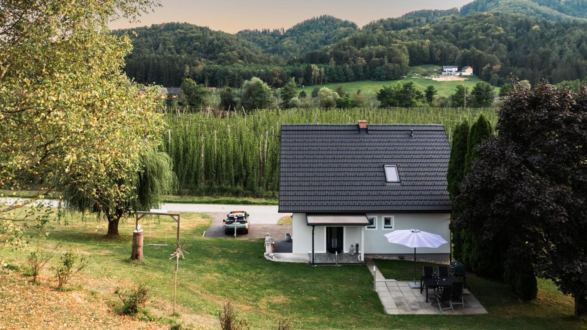 Ferienhaus Treissmann An Der Weinstrasse Leutschach Luaran gambar